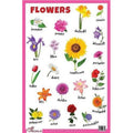 Pegasus - Flowers Educational Chart