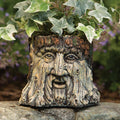 Bits and Pieces - Tree Face Garden Planter -Durable Polyresin Indoor-Outdoor Urn