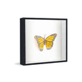 22x22 Shadow Box Frame Black | 1 Inches Deep Real Wood Contemporary