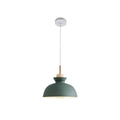 Brashear 1 - Light Single Dome Pendant Shade Color: Green