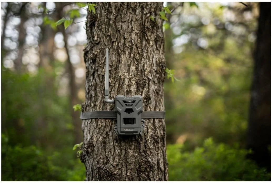 SPYPOINT Flex - M Twin Pack Cellular Trail Camera - Hunting Trail Monitor with GPS, Night Vision, Dual - Sim LTE, IP65 Water - Resistant