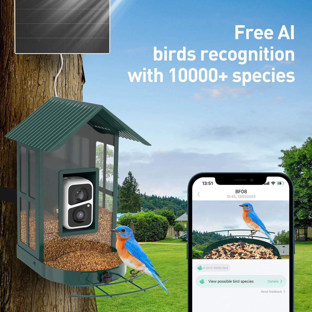 SOLIOM BF08 Smart Bird Feeder Camera with AI Identify Bird Species, Wild Bird Watching Cam, Live View, Instant Notifications, 5W Solar Panel - Metal Case