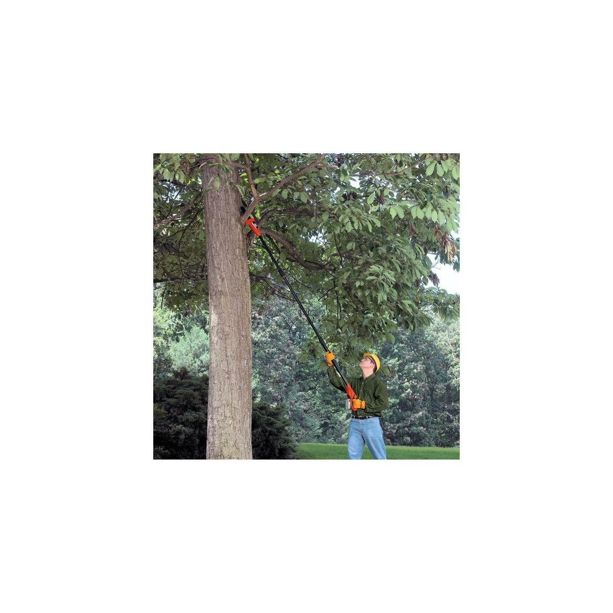 BLACK+DECKER 20V Max* Lithium Pole Pruning Saw, Bare Tool Only (LPP120B)