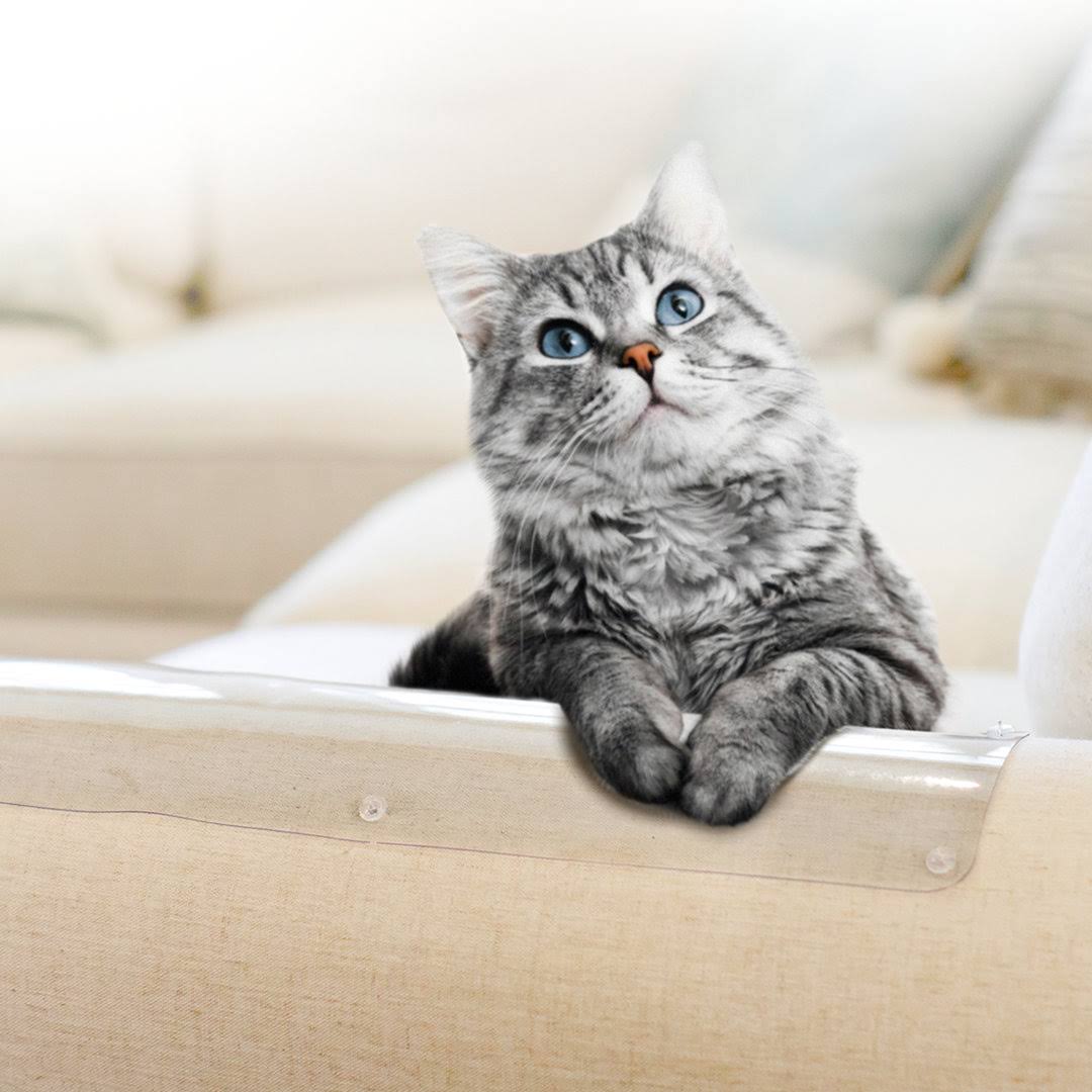 CLAWGUARD Crystal - Clear Furniture Shield
