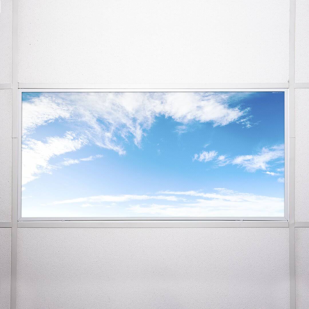 Octo Lights - Fluorescent Light Covers - Cloud 004