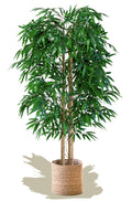 Maia Shop Bamboo, Artificial Tree with Natural Canes, Made with The Best Materials, Ideal for Home Decoration, Artificial Plant 5 Feet Tall - 60 inch