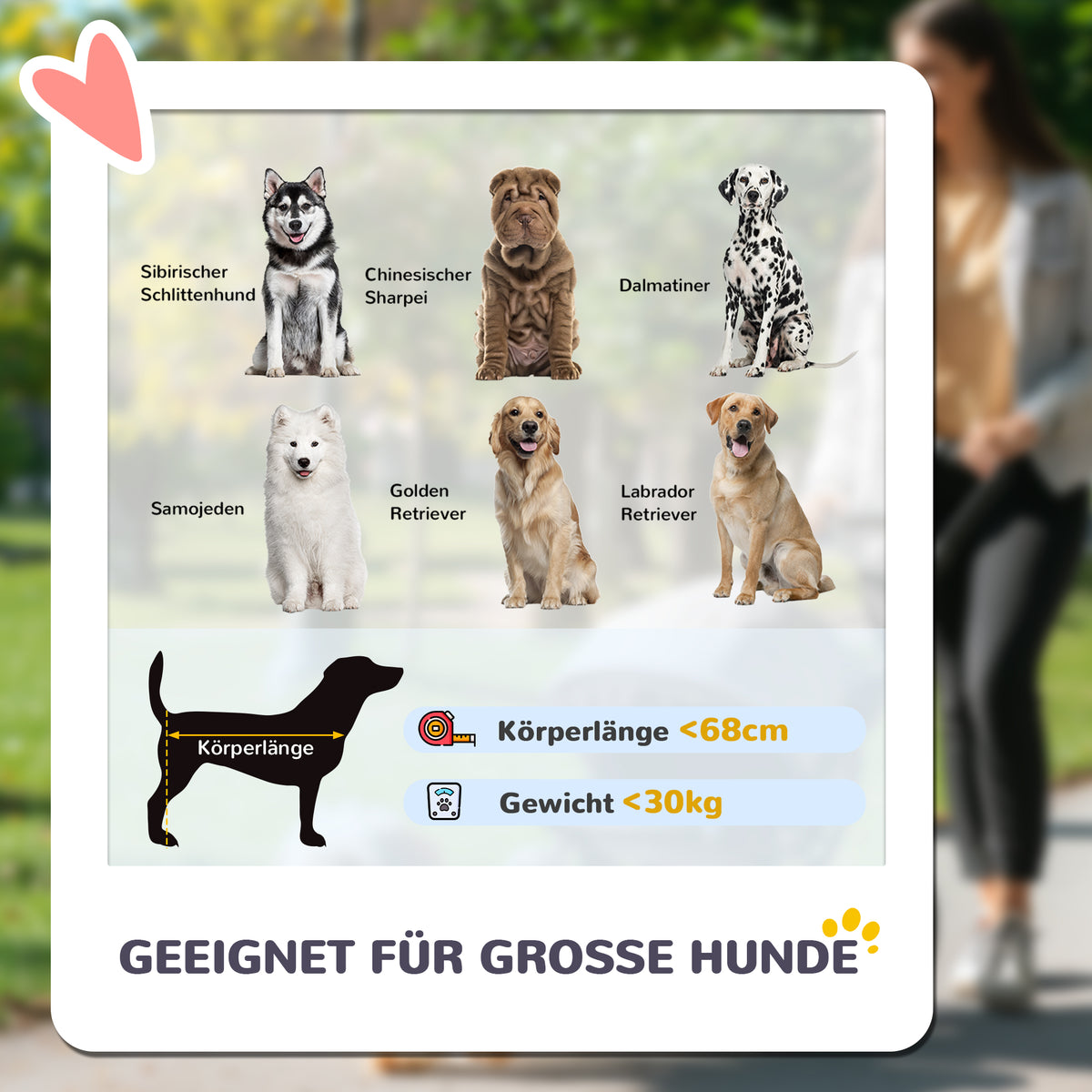 PawHut Hundewagen, Faltbarer Hundebuggy für große Hunde, Haustierwagen mit 4 Rädern, Sicherheitsleinen, Bremsen, Braun