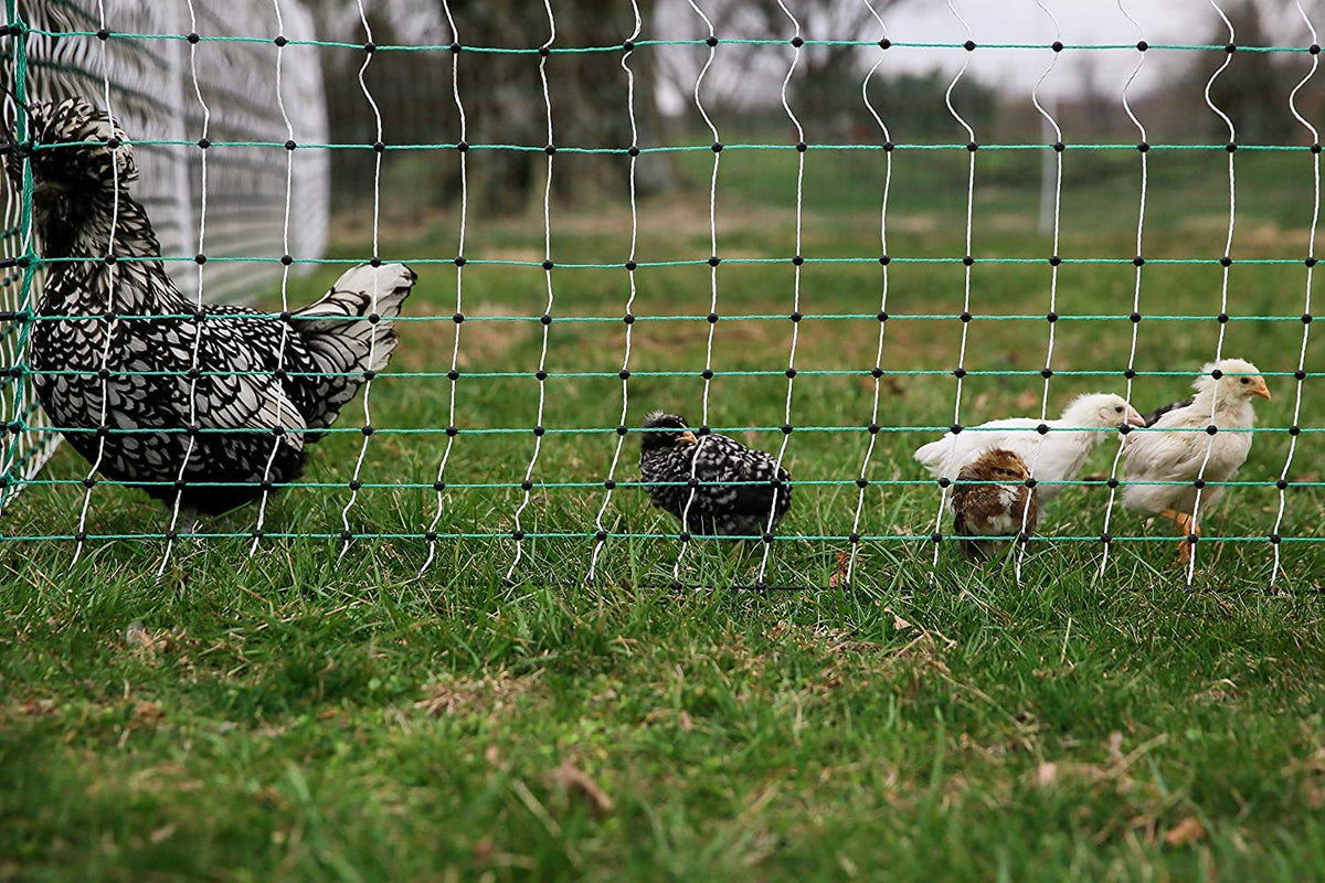 RentACoop Electric Anti-Predator Poultry Fence