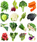 Sunutri Seeds Winter Vegetable Seeds Variety Pack 16 Heirloom Seed Kit 6500+ Seeds Arugula Beet Broccoli Cabbage Cauliflower Carrot Celery Chard Kale