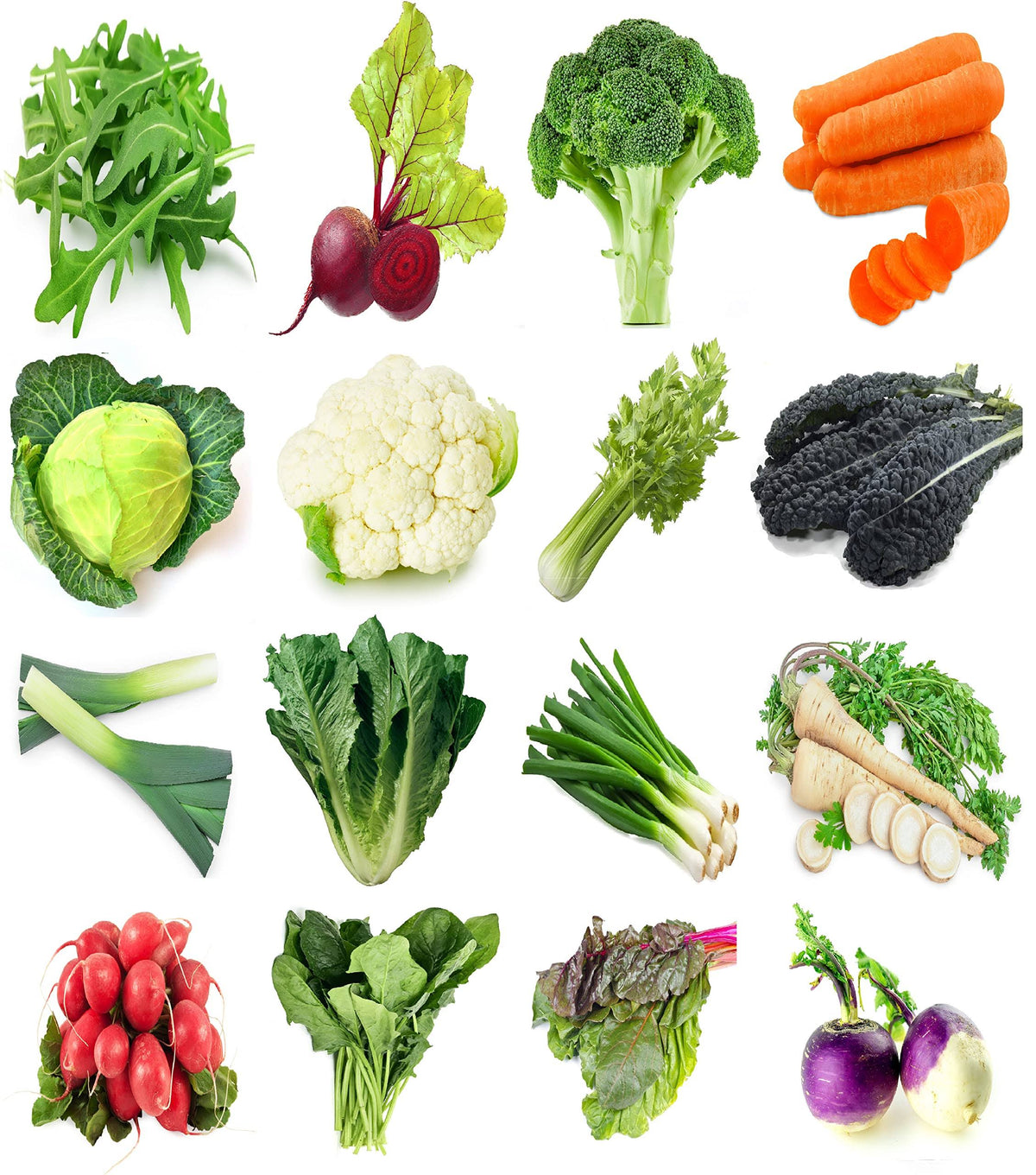 Sunutri Seeds Winter Vegetable Seeds Variety Pack 16 Heirloom Seed Kit 6500+ Seeds Arugula Beet Broccoli Cabbage Cauliflower Carrot Celery Chard Kale