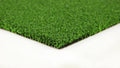 Everlast Putting Green 7.5-ft Outdoor Artificial Grass