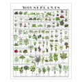 Pop Chart | Horticultural Chart of Houseplants | 16" x 20" Wall Art | Botanical Poster | Earthy Wall Decor | 100% Made in The USA