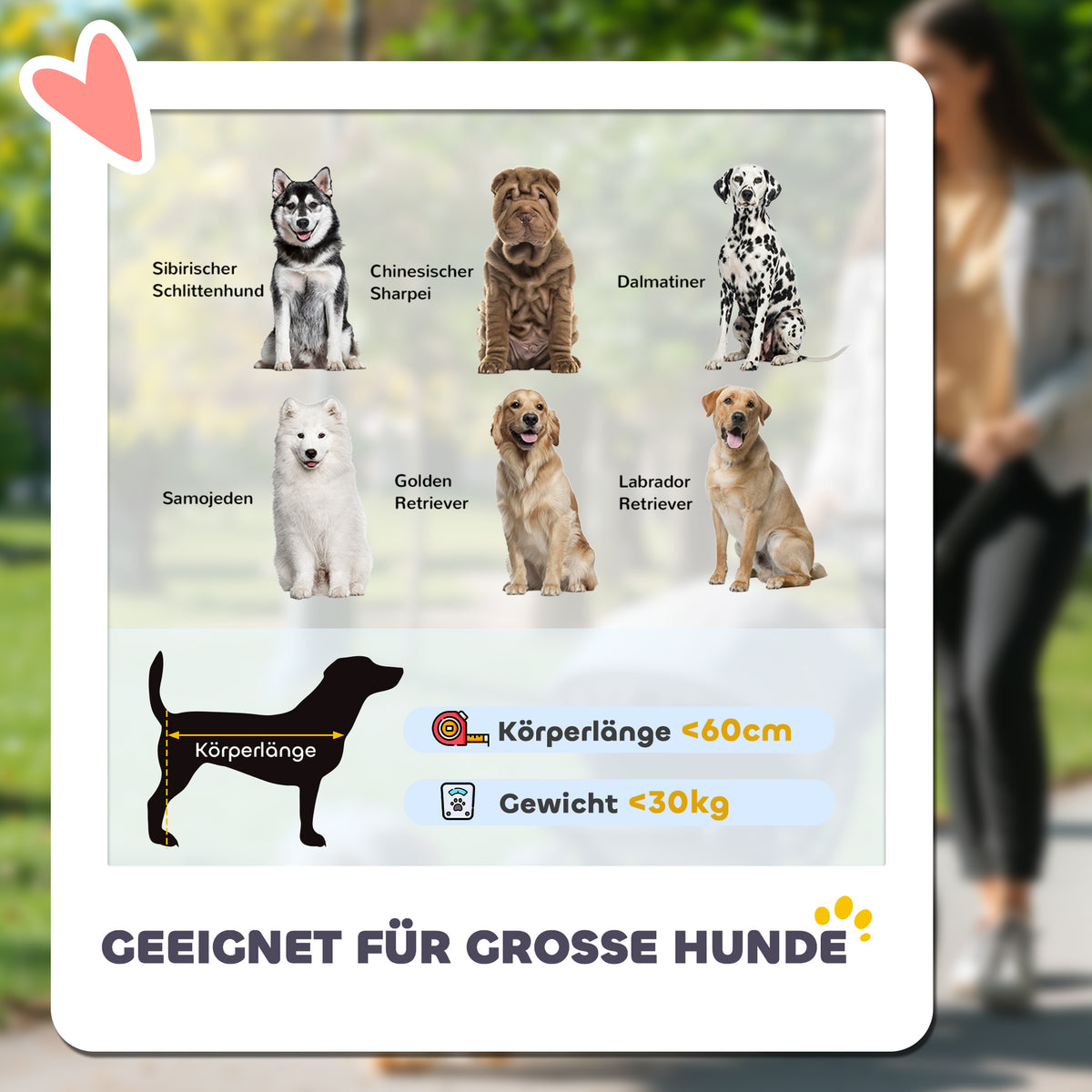 PawHut Hundewagen Hundebuggy klappbar für Hunde & Katzen bis 30 kg 110 x 65 x 102 cm Rot
