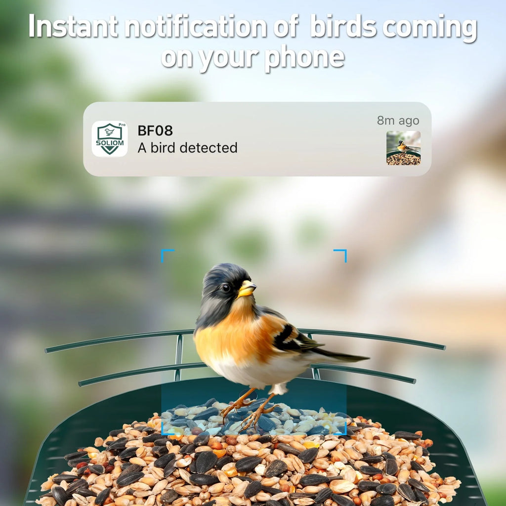 SOLIOM BF08 Smart Bird Feeder Camera with AI Identify Bird Species, Wild Bird Watching Cam, Live View, Instant Notifications, 5W Solar Panel - Metal Case