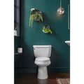 Kohler Wellworth Elongated Closed Front Toilet Seat in White (2-Pack)