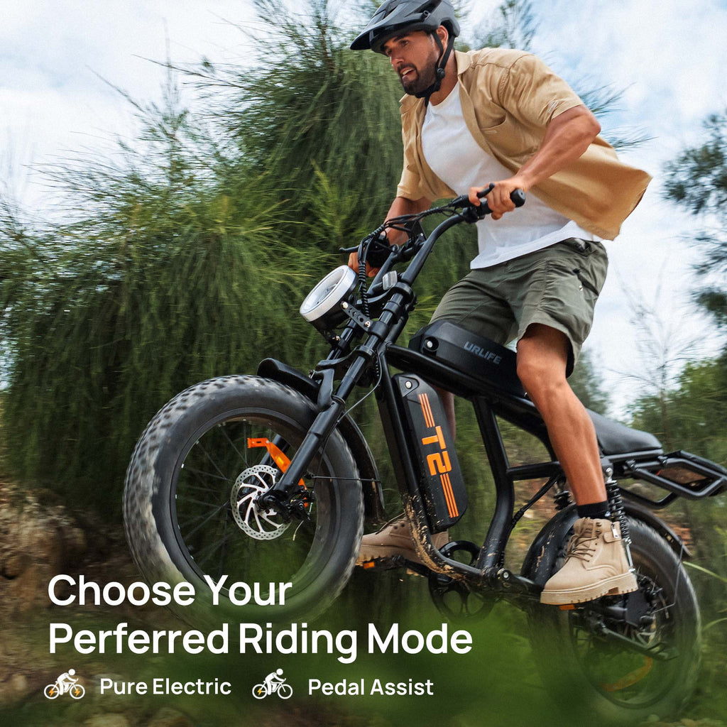 URLIFE 1500W Electric Bike for Adults, 20"4.0 Fat Tire Ebike, 48V 15.6ah Removable Battery, 7 - Speed E - Mountain Bikes, All - Terrain Off - Road Electric Bicycle, UL2849 Certified(Black)