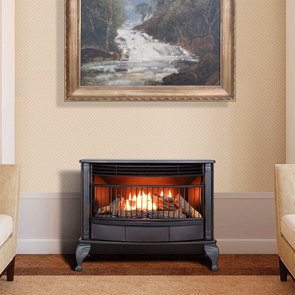 Procom Ventless Dual Fuel Stove - 25, 000 BTU, Model QNSD250RT