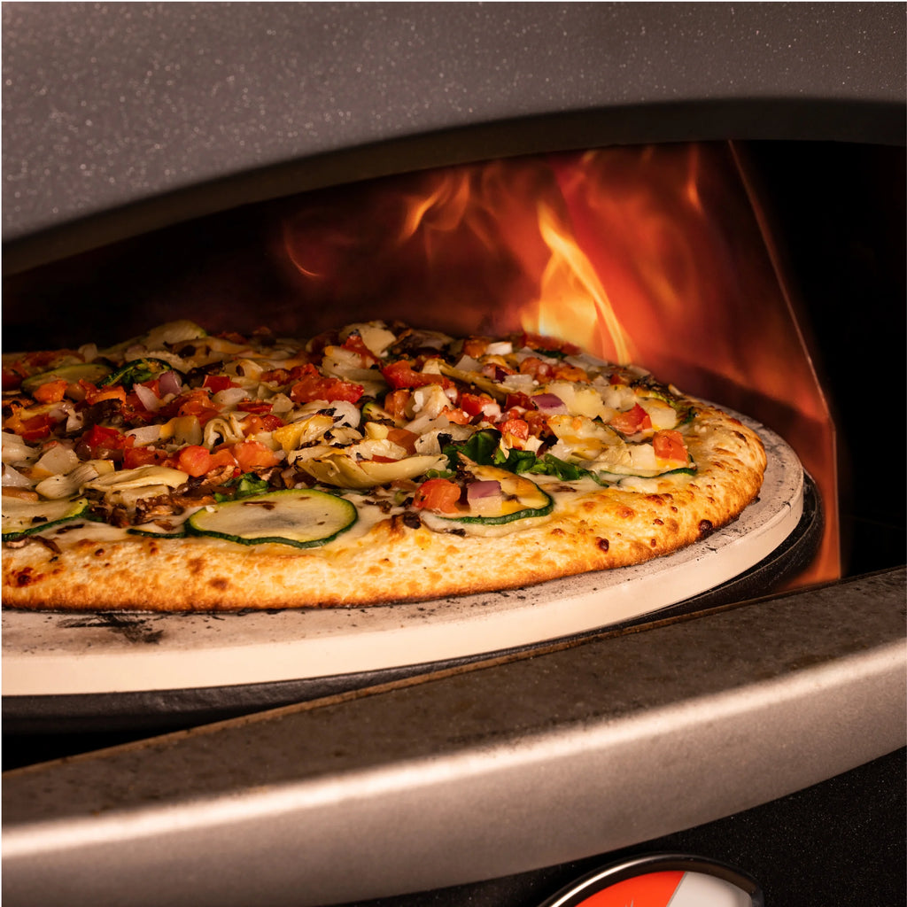 Blackstone Propane Outdoor Pizza Oven with Stand and Pizza Peel