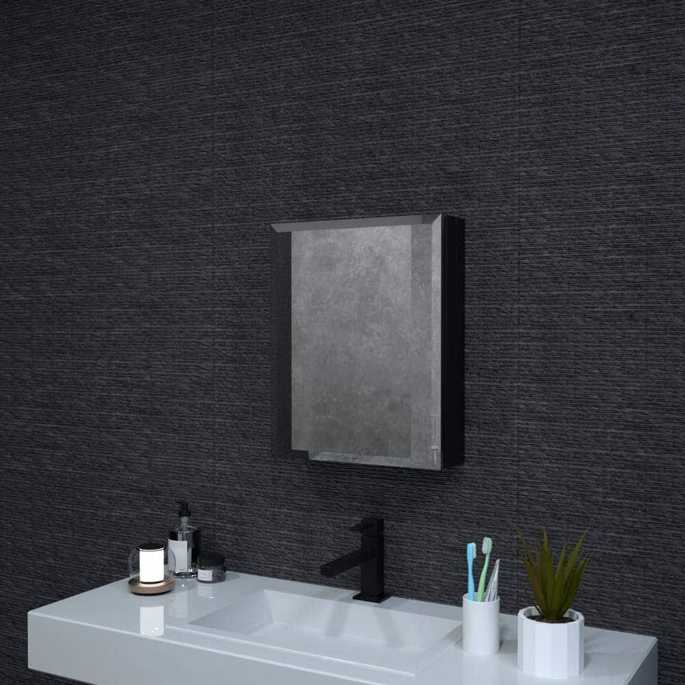 16 in. W x 20 in. H Rectangular Matte Black Aluminum Recessed/Surface Mount Medicine Cabinet with Mirror