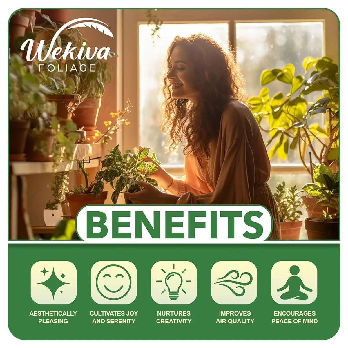 Brogdon Avocado Tree - Grafted - Live Plant in a 3 Gallon Growers Pot - Persea Americana - Beautiful Edible Fruit Bearing Tree for Patio and Garden