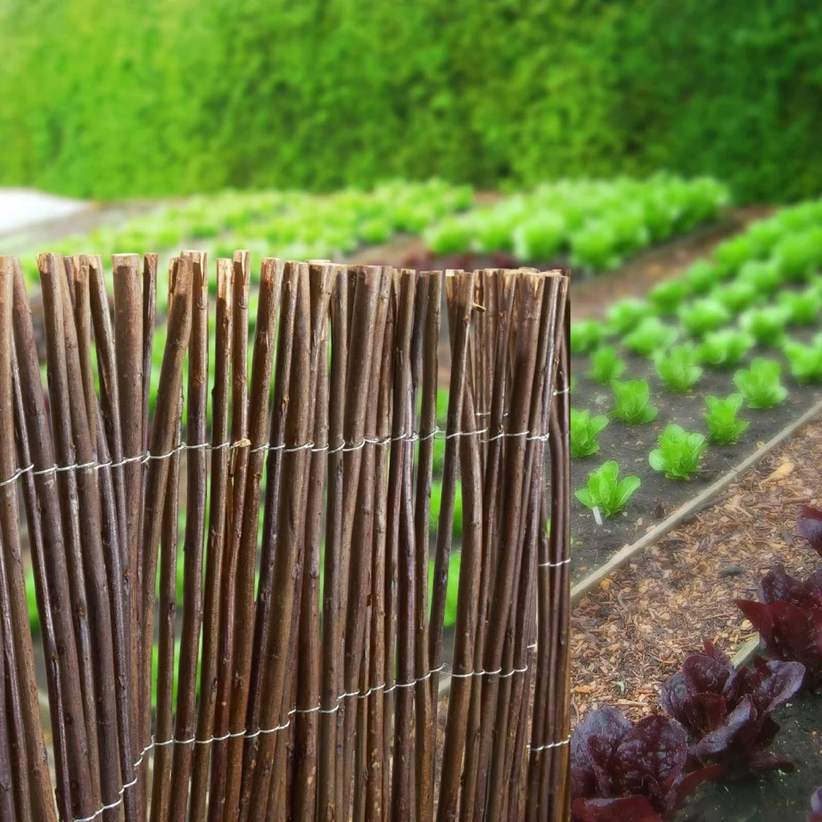 Backyard X - Scapes Natural Willow Rolled Panel Fence Decorative Fencing Natural 6' H L x 8' L