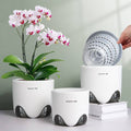 Meshpot 5 inch Orchid Pots with Holes for Repotting,Set of 1,Double Layer Plastic Imitate Ceramic Orchid Planter Provide Good Air Circulation,Clear
